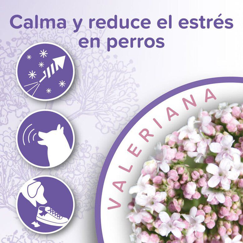 Beaphar Calming Collar Relajante para perros thumbnail