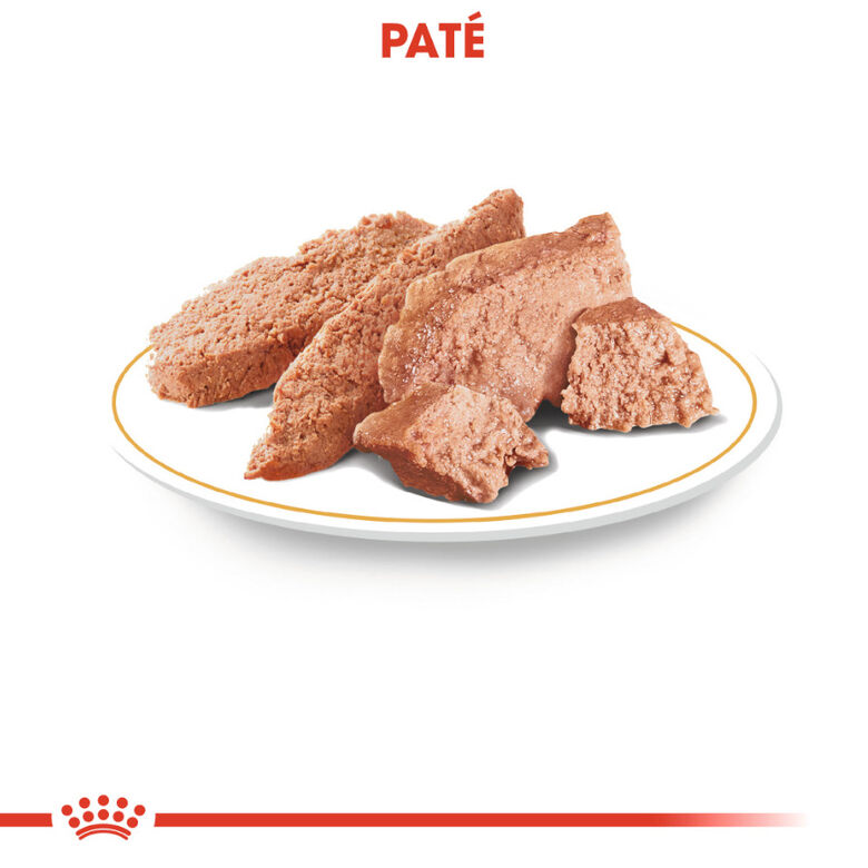 Royal Canin Adult Poodle Paté sobre para perros thumbnail