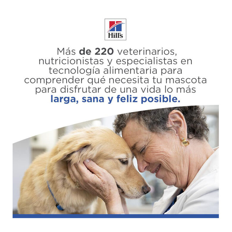 Hill&#039;s Science Plan Adult Medium Hypoallergenic Salmón pienso para perros thumbnail