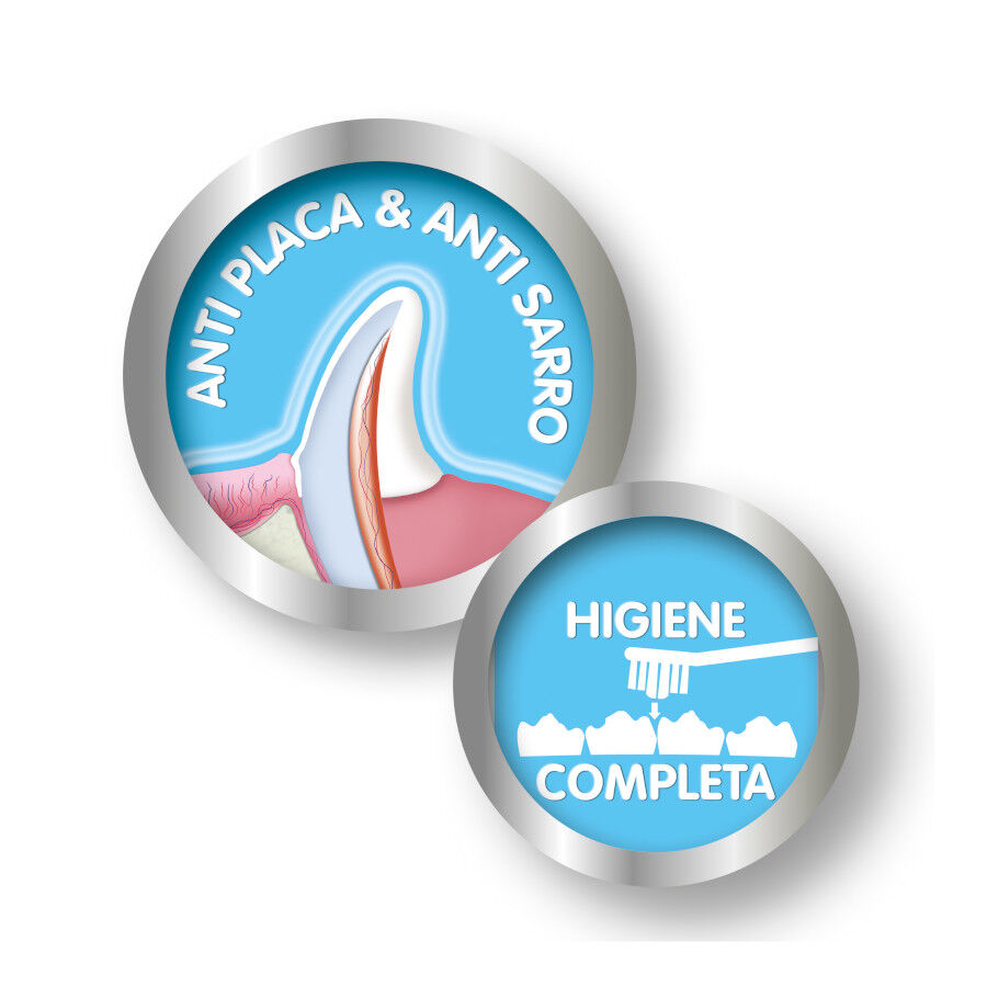 Beaphar Kit Dental para perros thumbnail