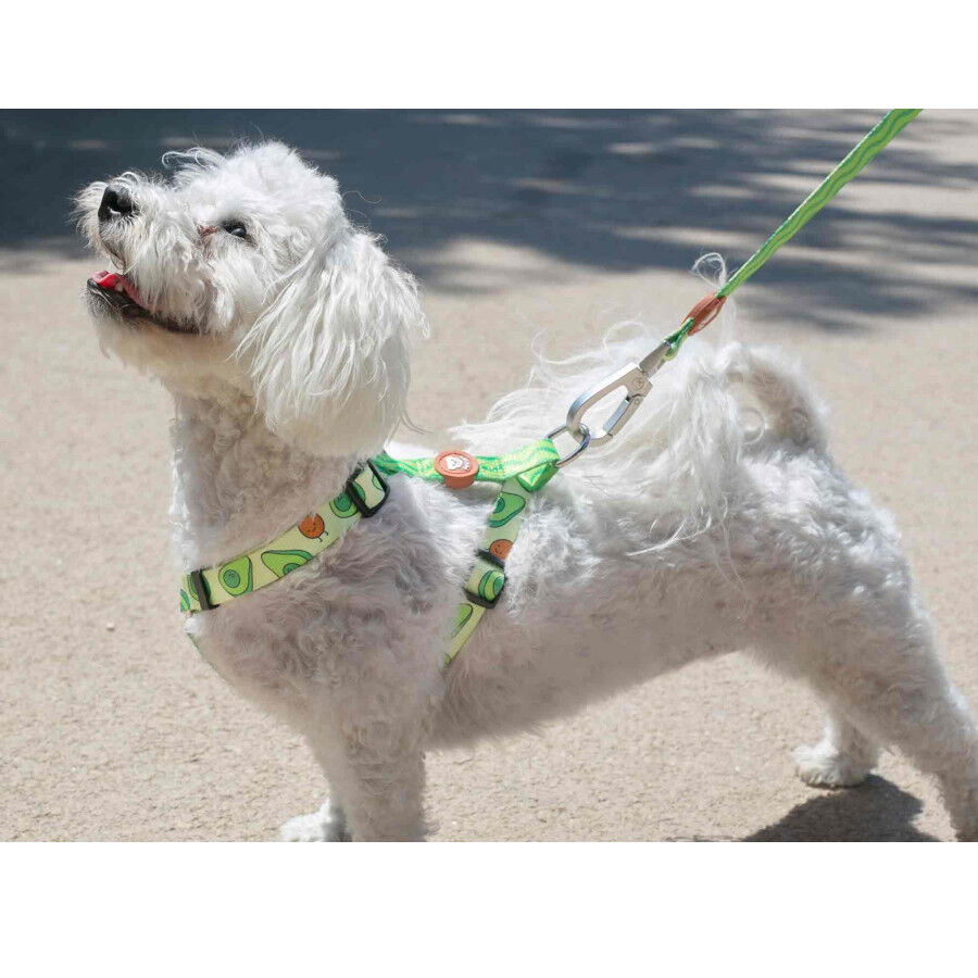 Dukier Arnés Clásico Estampado Aguacate para perros thumbnail