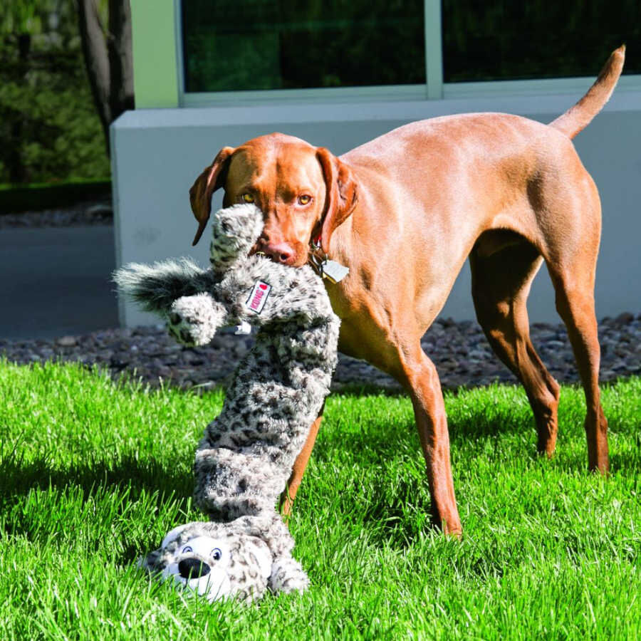 Kong sales perro jumbo