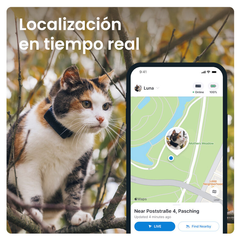 Tractive Localizador GPS para gatos,  Imagen numero 6 Tractive Localizador GPS para gatos, , large Imagen numero 6