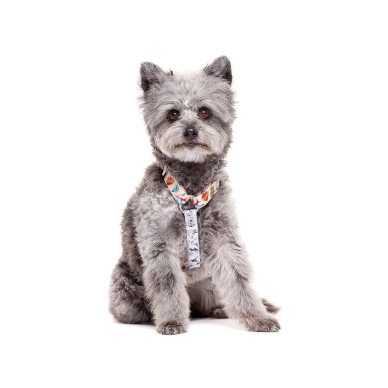 Dukier Arnés Clásico Estampado Tattoo para perros thumbnail