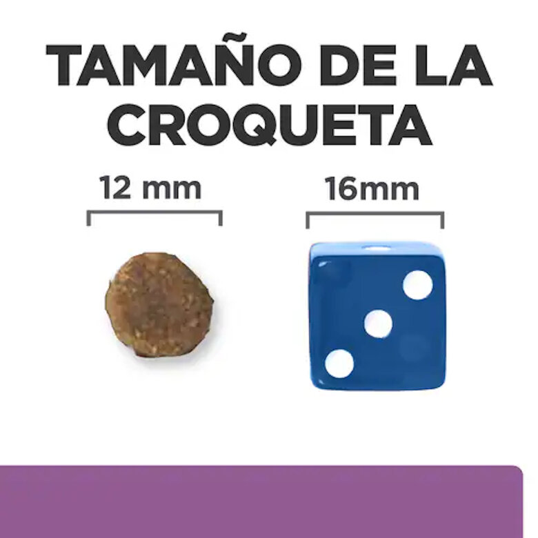 12 kg Hill's Prescription Diet b/d Ageing and Alertness Care Pollo pienso para perros,  Imagen numero 3 12 kg Hill's Prescription Diet b/d Ageing and Alertness Care Pollo pienso para perros, , large Imagen numero 3