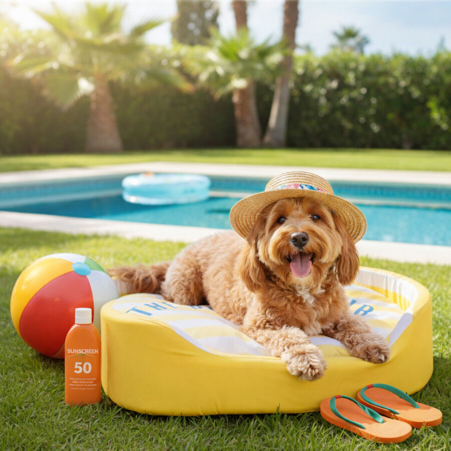 Summer Vibes Cama Refrescante Rayas Amarillo para perros, , large Imagen numero 1