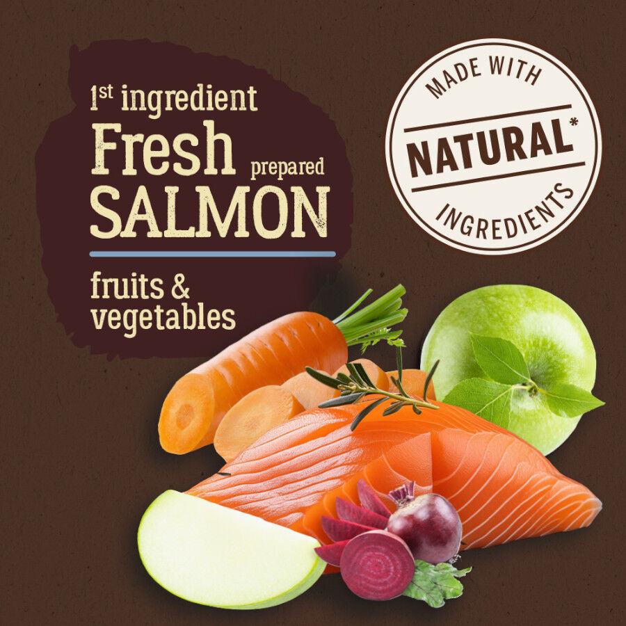 True Origins Pure Salmón pienso para perros thumbnail