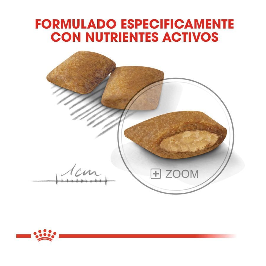 3 kg Royal Canin Exigent Mini pienso para perros, , large Imagen numero 4