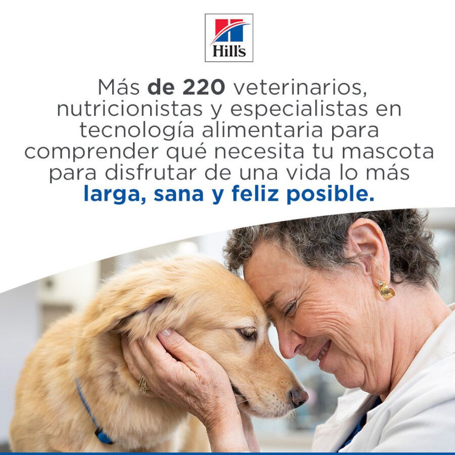 Hill&#039;s Science Plan Youthful vitality Large pienso para perros thumbnail