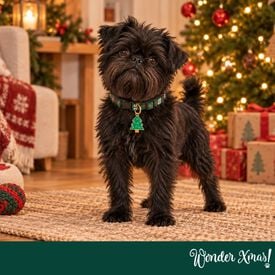 Wonder Christmas Colgante Collar &Aacute;rbol Navidad para perros