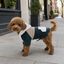 Gotoo Pijama Bloque Multicolor para perros, , large indicador imagen numero 1