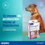 Virbac Prevendog Collar Antiparasitario para perros, , large indicador imagen numero 6