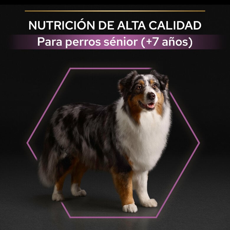 14 kg Pro Plan Adult Medium y Large Pollo pienso para perros Sénior +7,  Imagen numero 8 14 kg Pro Plan Adult Medium y Large Pollo pienso para perros Sénior +7, , large Imagen numero 8