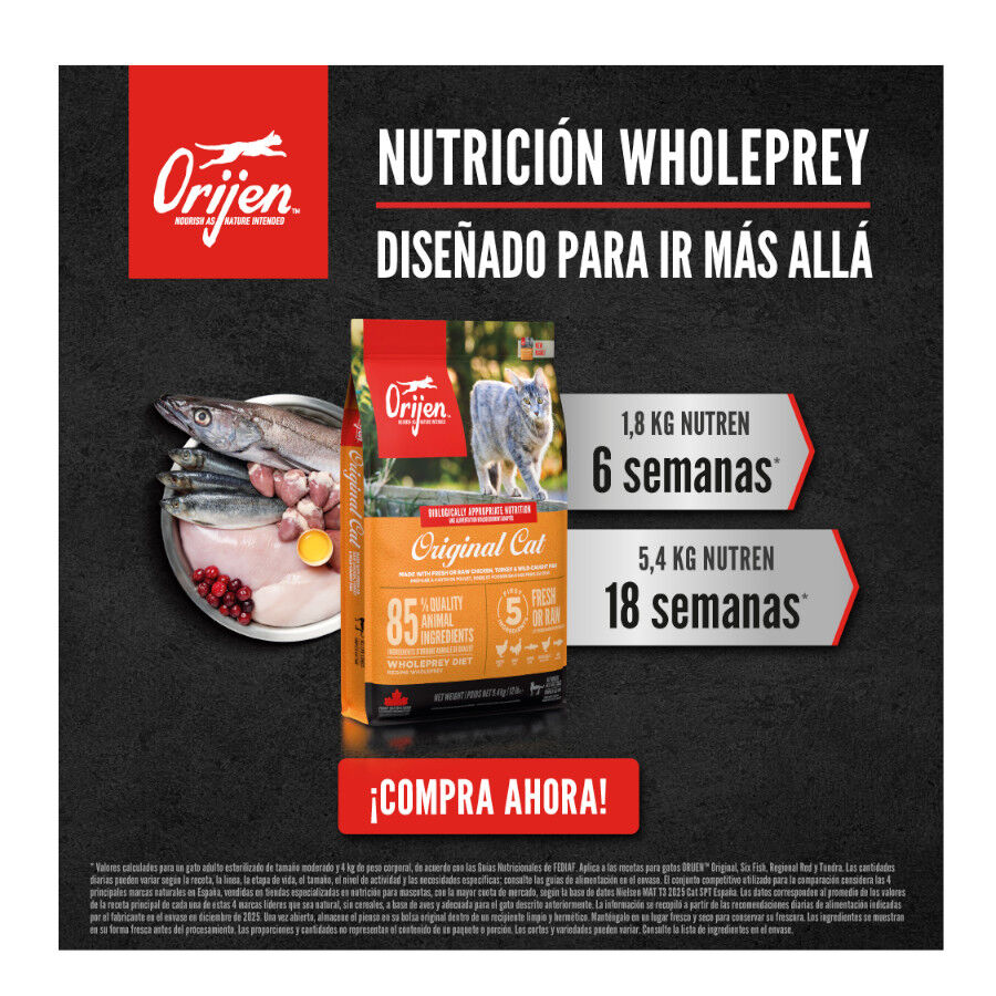 5.4 kg Orijen Original pienso para gatos y gatitos, , large Imagen numero 9