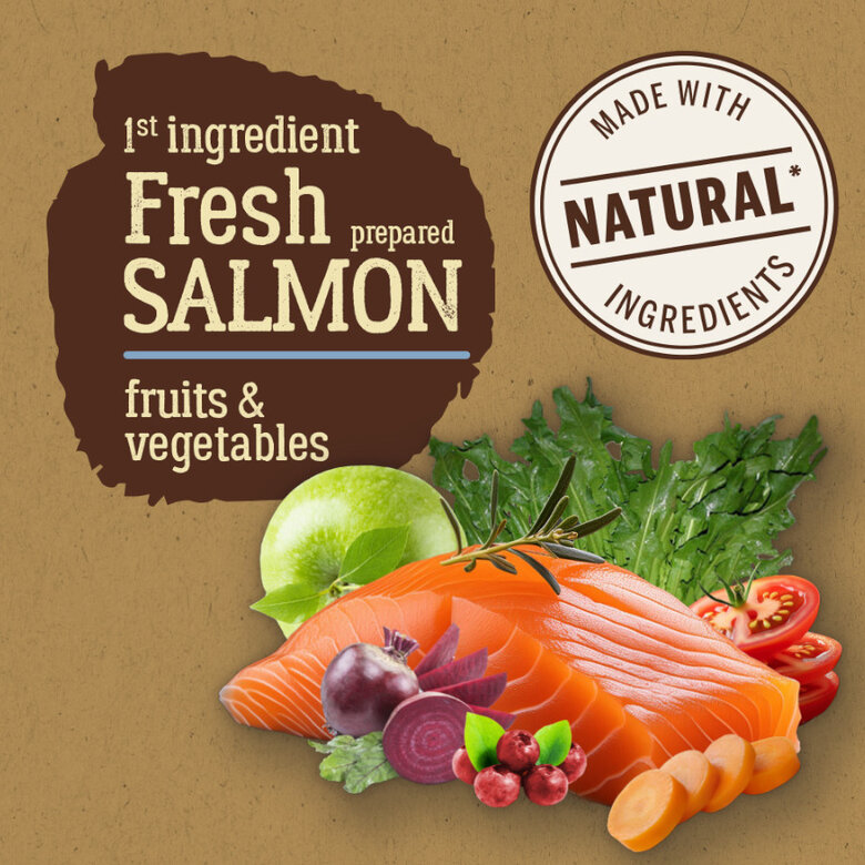 12 kg True Origins Pure Puppy Salmão com Ração para Cachorro,  Imagen numero 2 12 kg True Origins Pure Puppy Salmão com Ração para Cachorro, , large Imagen numero 2