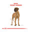 12 kg Royal Canin Adult Great Dane pienso para perros, , large indicador imagen numero 4