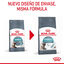 10 kg Royal Canin Intense Hairball pienso para gatos, , large indicador imagen numero 3