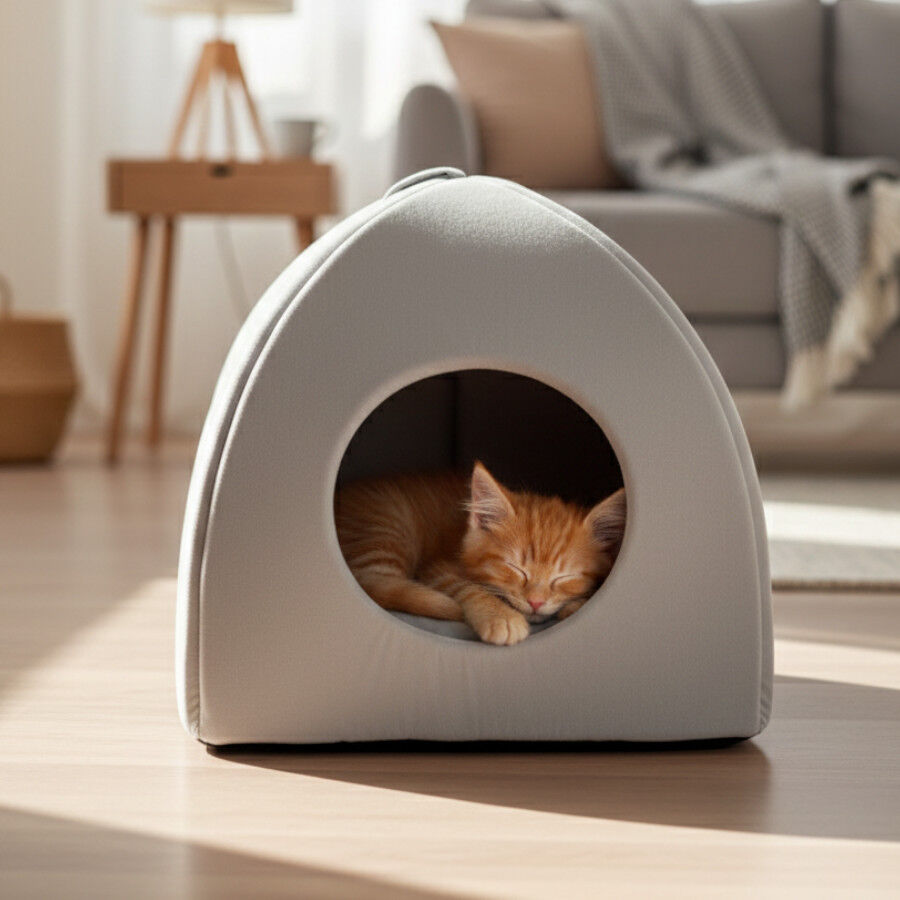 Leeby Cama Iglu Gris para gatos, , large Imagen numero 1