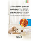 Schesir Puppy Natural Selection Pavo pienso , , large image number null