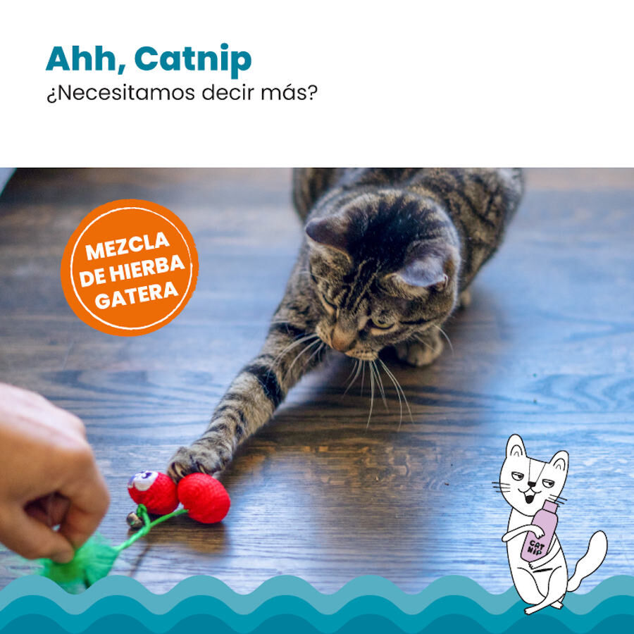 Catstages Dental Cherries Peluche Suave de Cerezas para gatos thumbnail