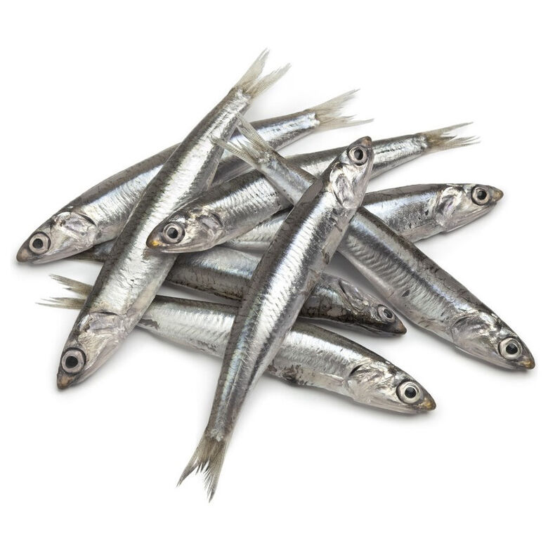 Hobbitalf La Pescadería Boquerones para perros thumbnail