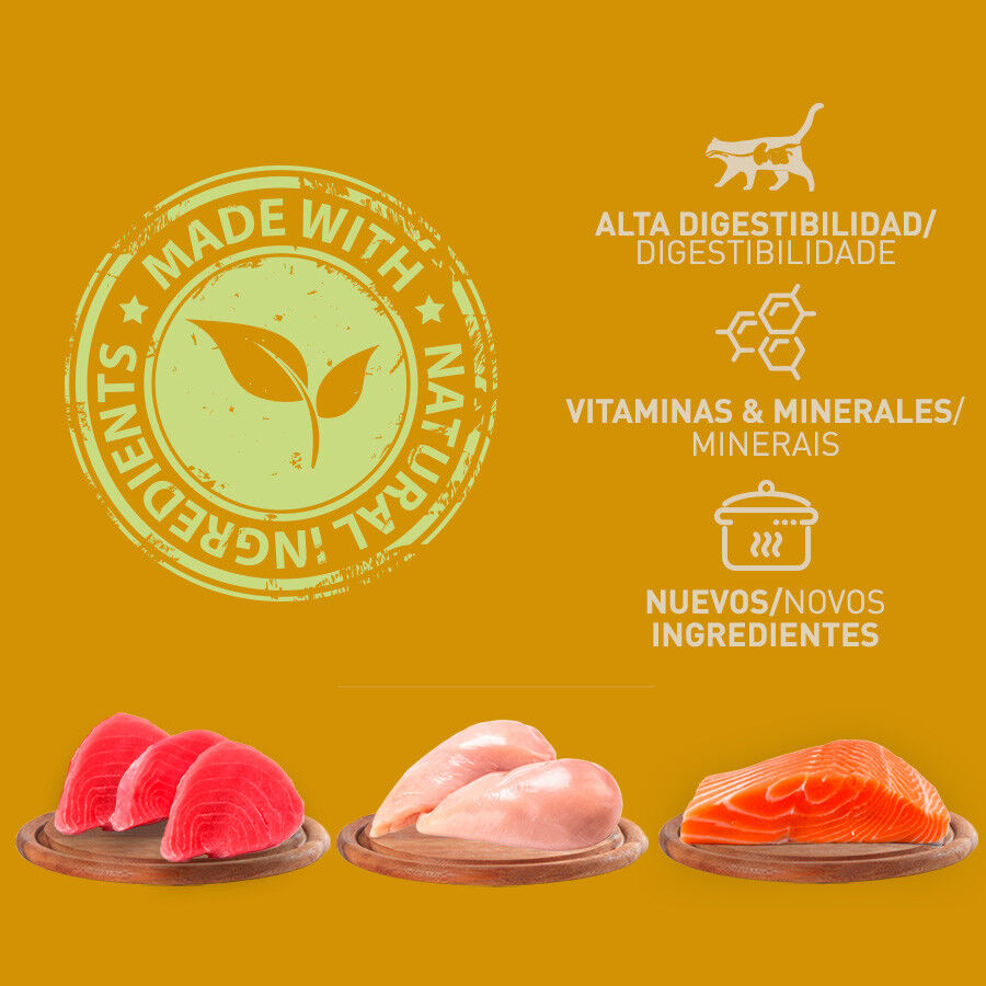 Catzilla Adult Grain Paté latas para gatos thumbnail