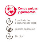 Beaphar FiproTec Pipetas para perros de razas pequeñas, , large image number null