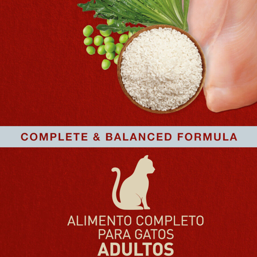 Catxtreme Adult Outdoors Pollo pienso para gatos thumbnail