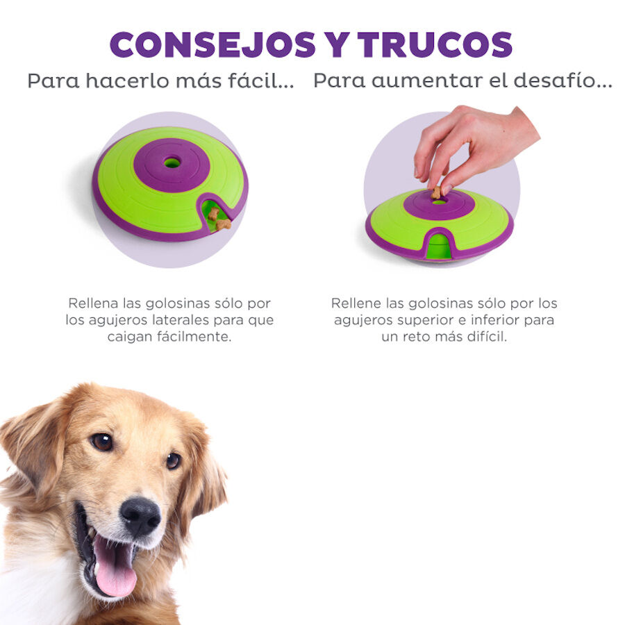 Outward Hound Treat Maze Disco Interactivo para perros, , large Imagen numero 4