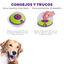 Outward Hound Treat Maze Disco Interactivo para perros, , large indicador imagen numero 4