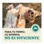 11.4 kg Acana Coldwater Fish pienso para perros, , large indicador imagen numero 10