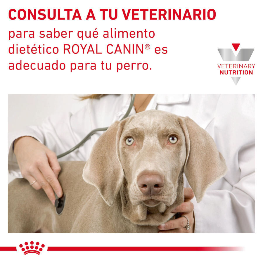 Royal Canin Gastrointestinal High Fibre Paté Lata para perros thumbnail