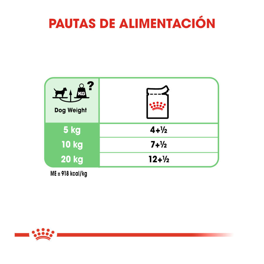 Royal Canin Digestive Care Paté sobres para perros thumbnail