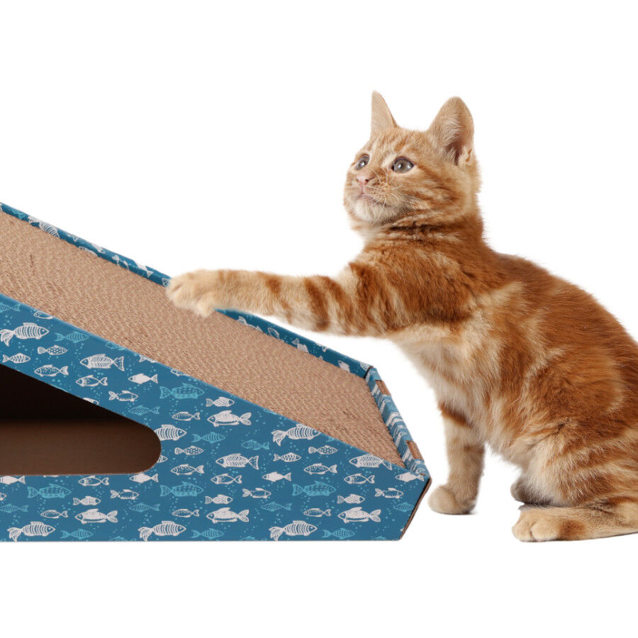 Leeby Walter rascador de cartón horizontal con bola y estampado de peces para gatos thumbnail