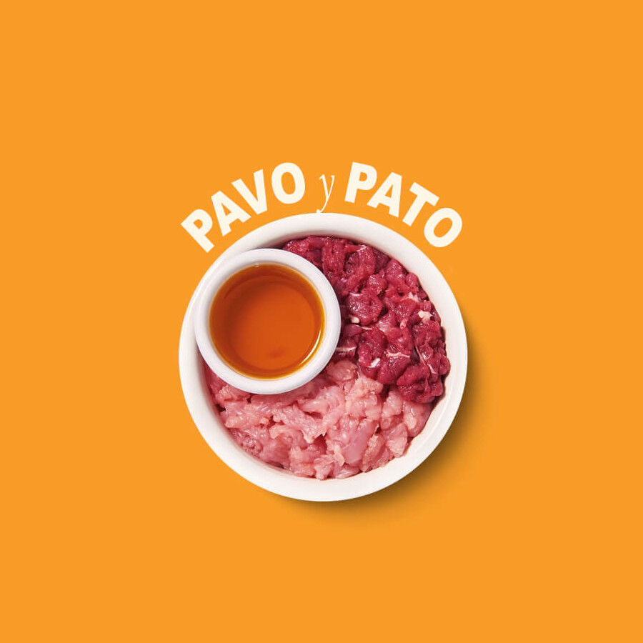 Lily&#039;s Kitchen Feline Smooth Selection paté tarrinas para gatos thumbnail