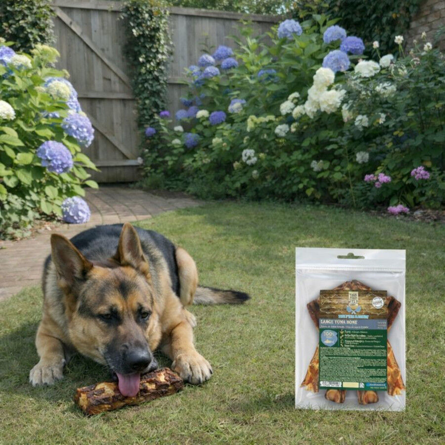 2 uds. True Origins Hueso de At&uacute;n Grande Snack para perros, , large Imagen numero 1