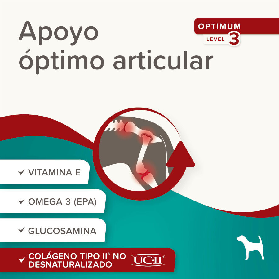 Beaphar Flexifit Chews Condroprotector para perros thumbnail