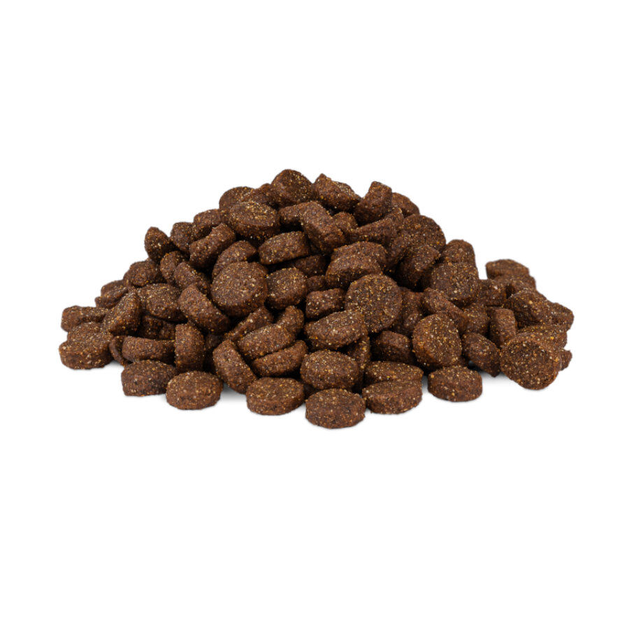 Weego Puppy Pollo y Arroz pienso para cachorros, , large Imagen numero 2