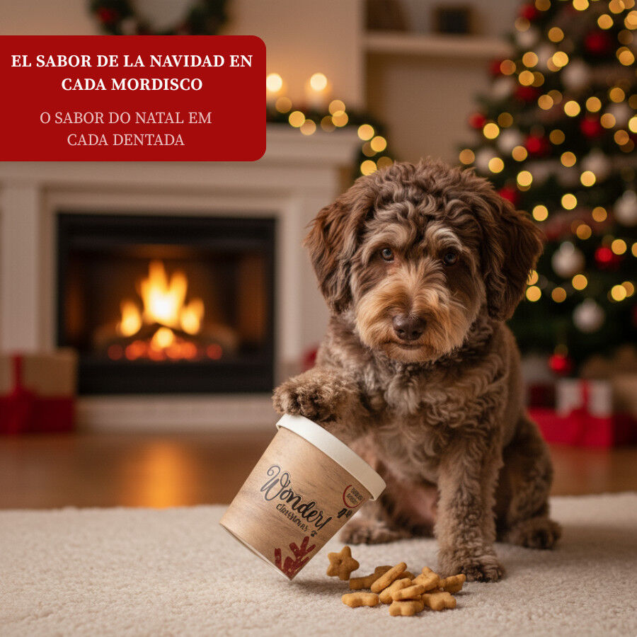 Wonder Christmas Mini Galletas Navideñas para perros thumbnail