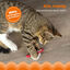Outward Hound Catstages Green Magic Dynamite Rojo Peluche para gatos, , large indicador imagen numero 4