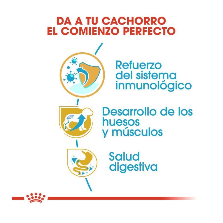 12 kg Royal Canin Puppy Rottweiler pienso para perros ,  Imagen numero 5 12 kg Royal Canin Puppy Rottweiler pienso para perros , , large Imagen numero 5