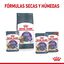 10 kg Royal Canin Appetite Control Care pienso para gatos, , large indicador imagen numero 9