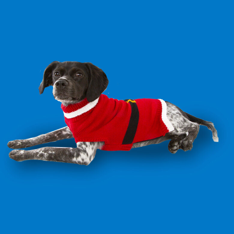 Wonder Christmas Santa jersey navideño para perros Kiwoko