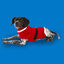 Wonder Christmas Santa jersey navideño para perros, , large indicador imagen numero 2