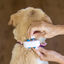 Tractive Localizador GPS color blanco para perros, , large indicador imagen numero 2