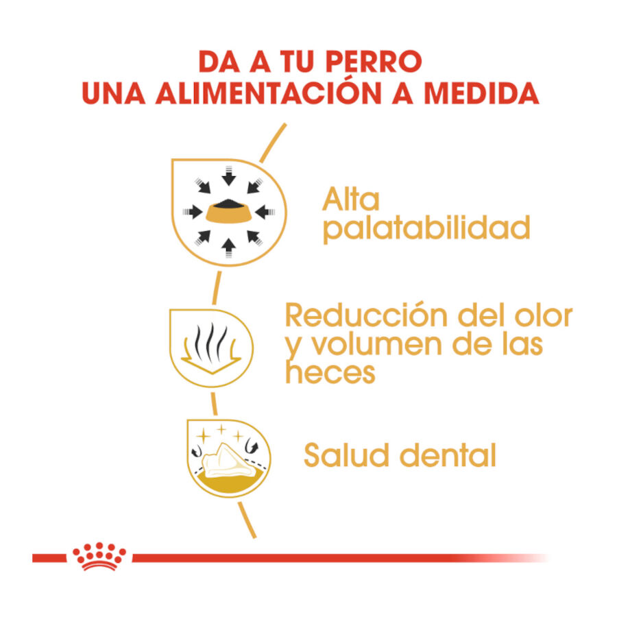 Royal Canin Adult Chihuahua pienso para perros thumbnail