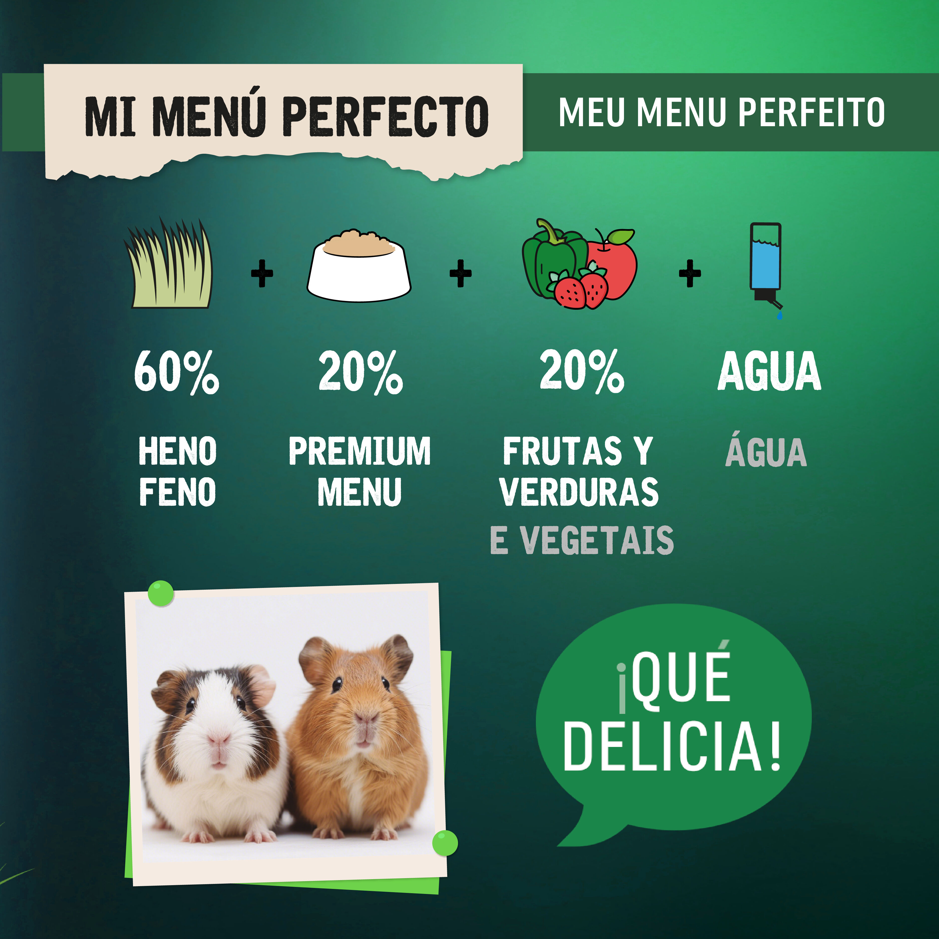 4 kg Small Life Premium Men&uacute; Pienso para cobaya, , large Imagen numero 5