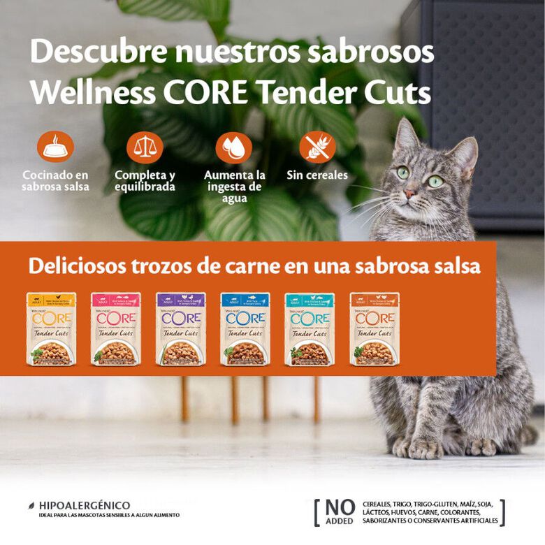 Wellness Core Tender Cuts Pollo y Pato sobre en salsa para gatos thumbnail