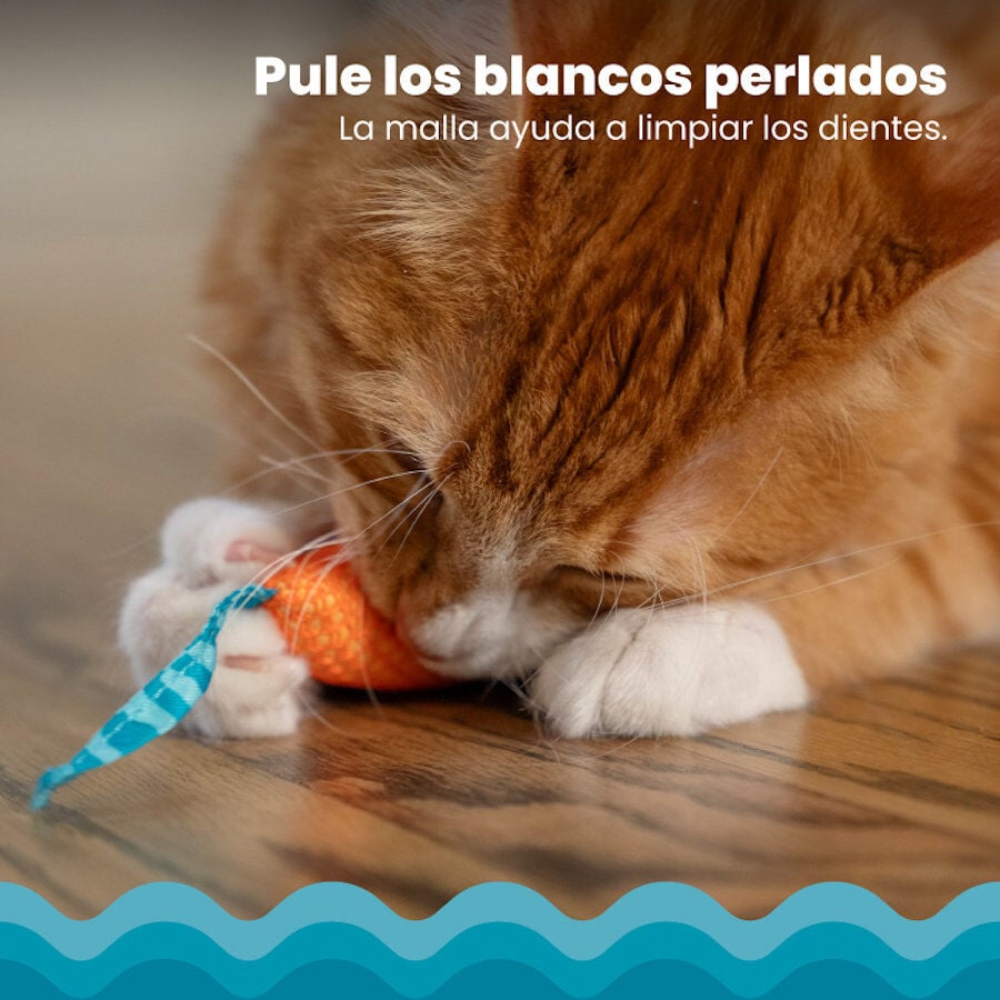 Catstages Chew Ratón con Catnip para gatos thumbnail