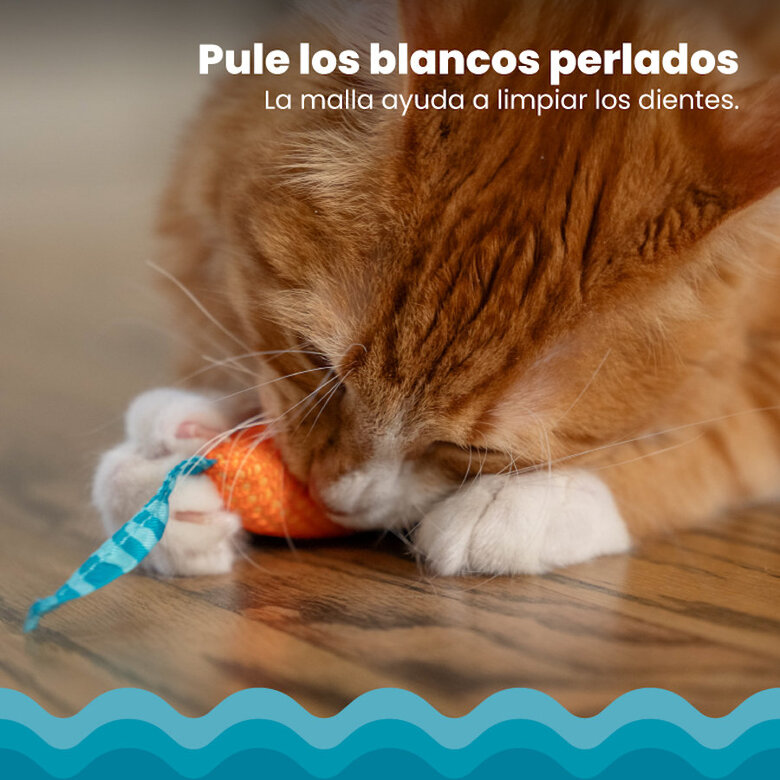 Catstages Chew Ratón con Catnip para gatos,  Imagen numero 5 Catstages Chew Ratón con Catnip para gatos, , large Imagen numero 5